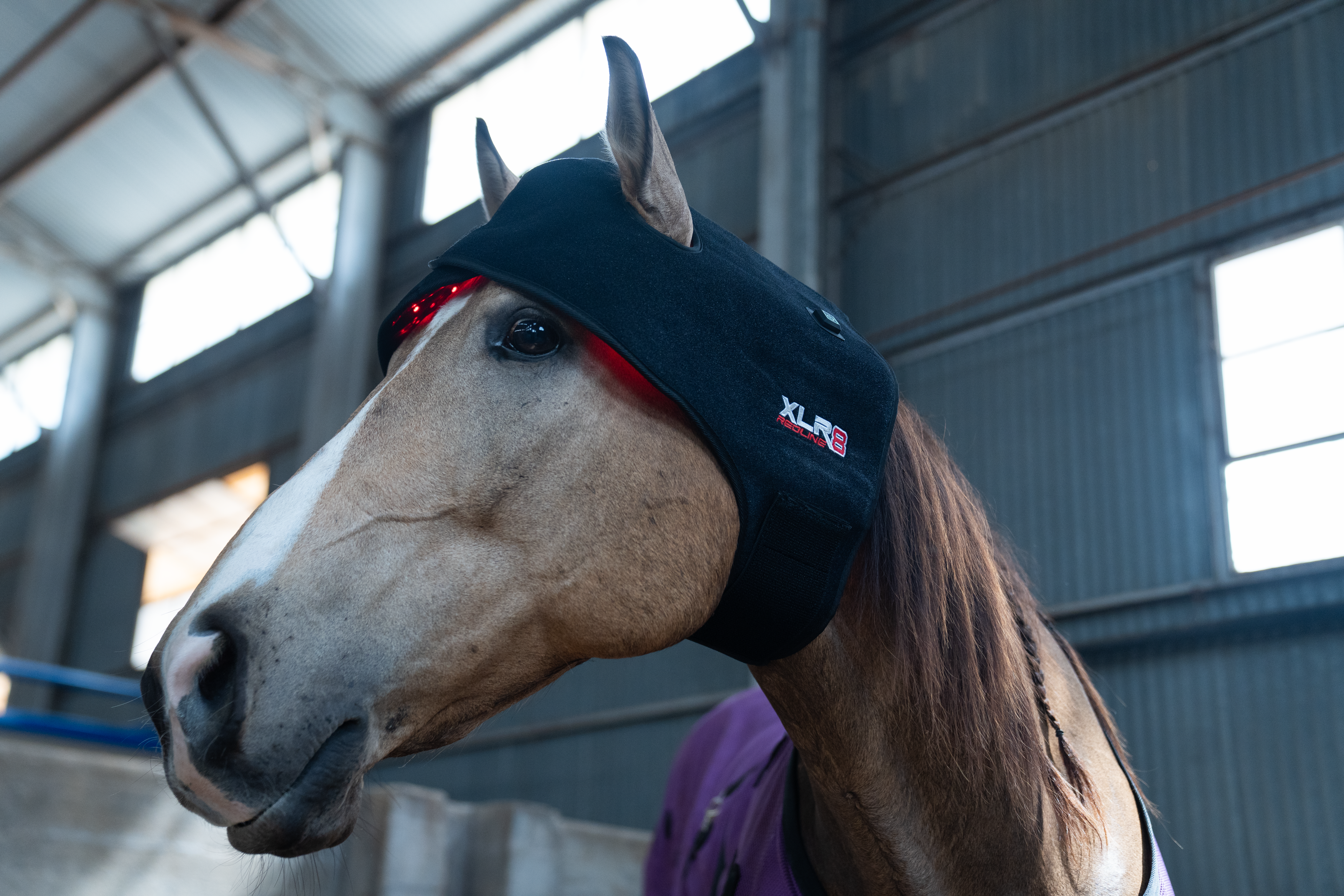 Redline Poll/Neck Wrap