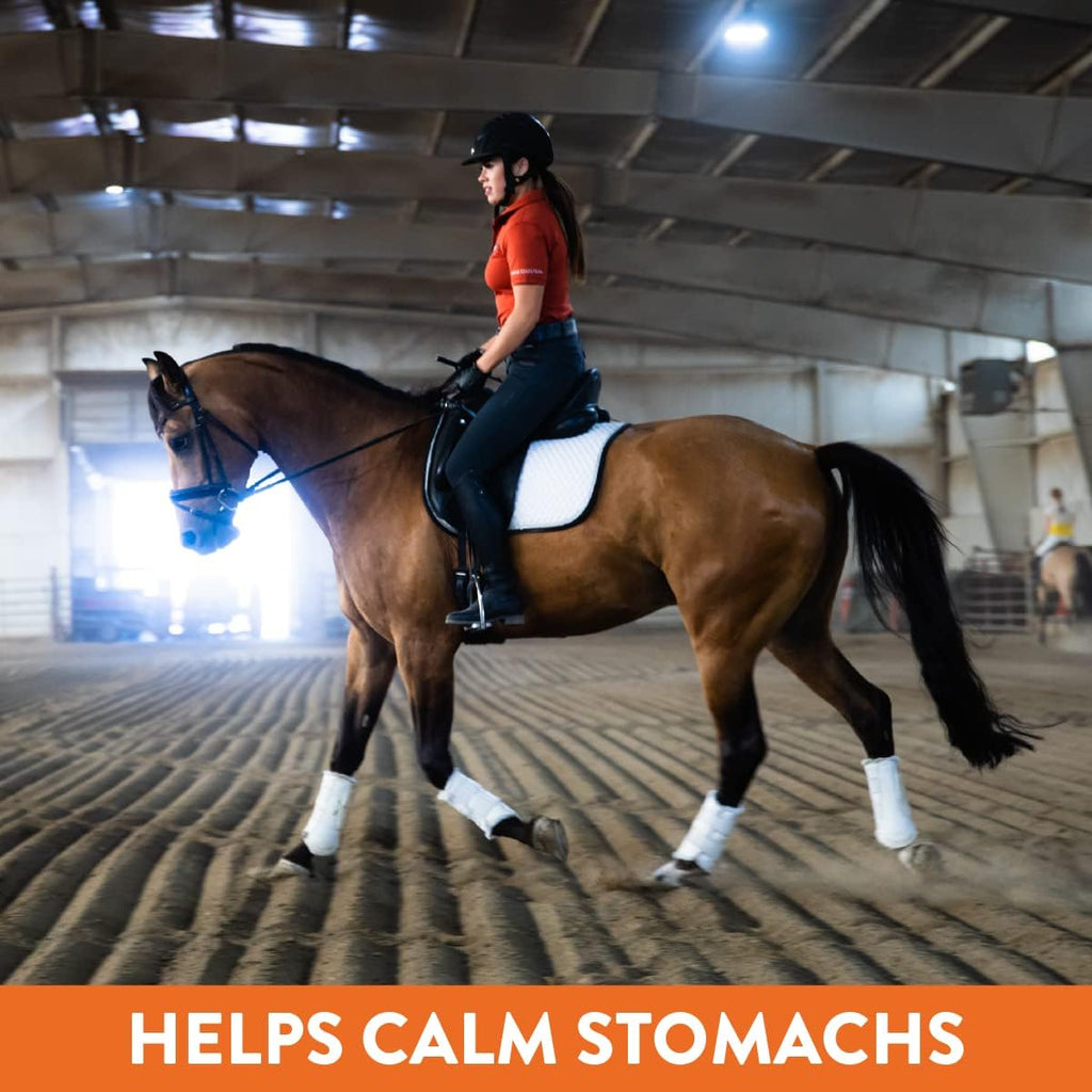 Plus- Gastric Support Supplement for Horses with Omega 3s | Relieves Ulcers, Calming Supplement, Magnesium & Other Vital Minerals | Powder, 20lb Bucket, 5-Month Supply | by Eagle Equine