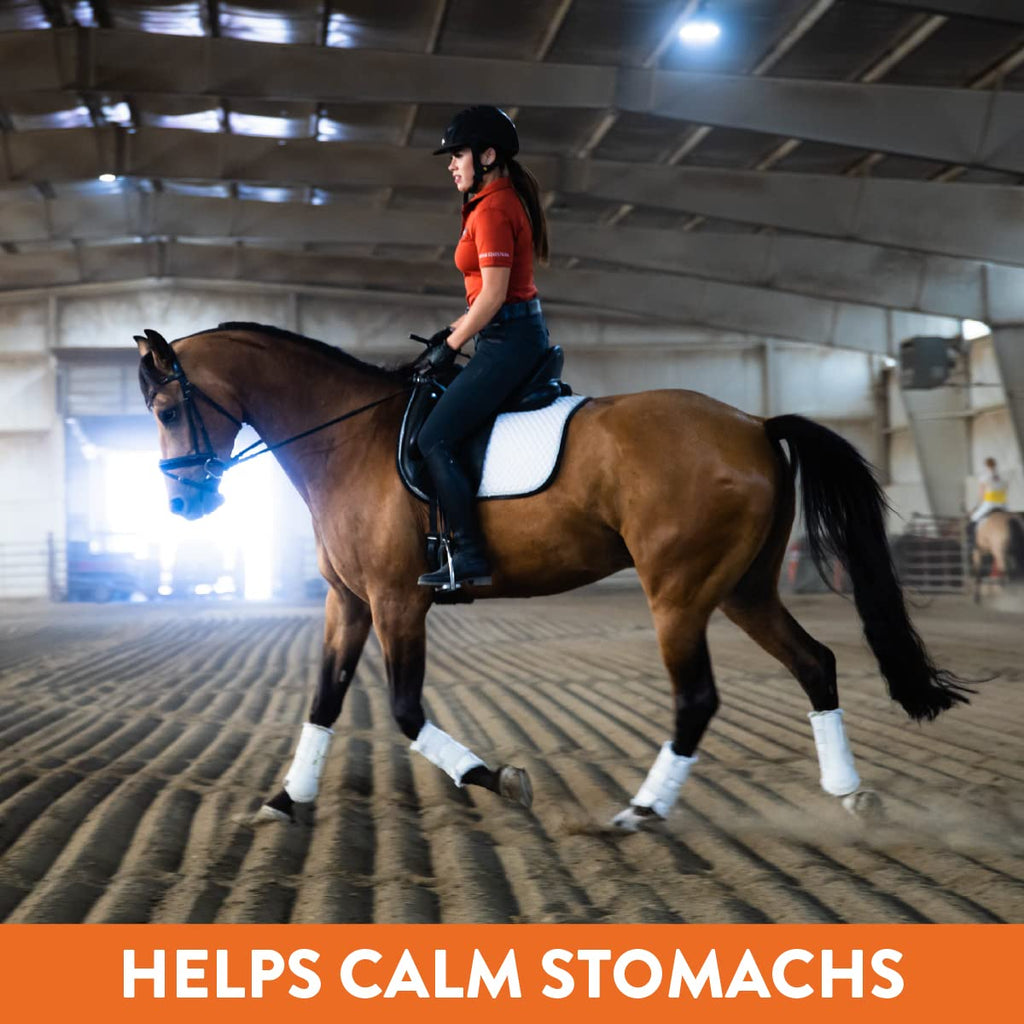 Plus- Gastric Support Supplement for Horses with Omega 3s | Relieves Ulcers, Calming Supplement, Magnesium & Other Vital Minerals | Powder, 20lb Bucket, 5-Month Supply | by Eagle Equine