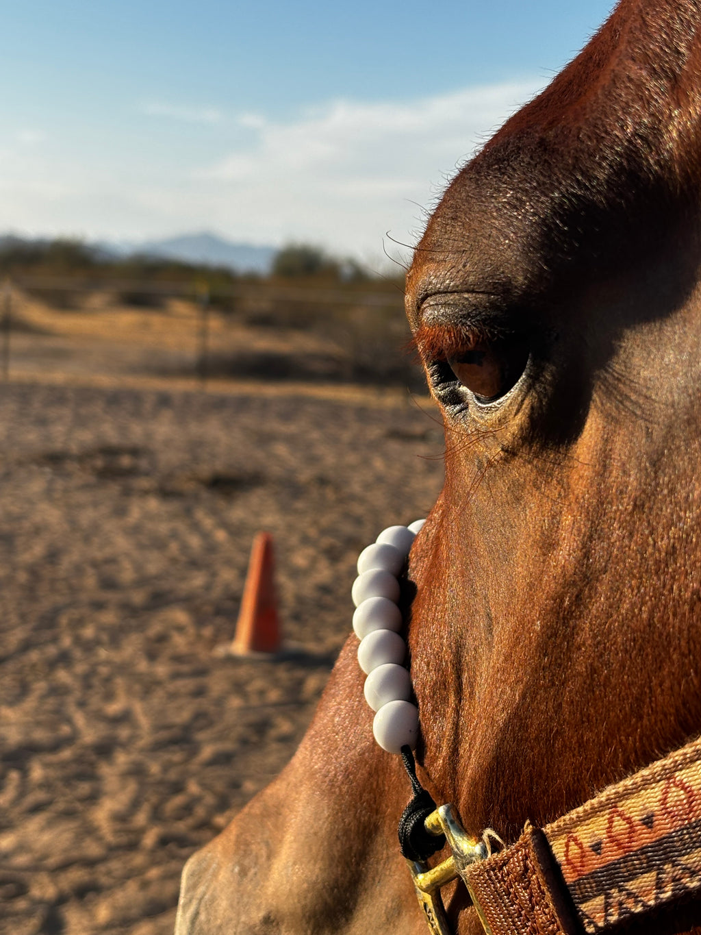 Soft Fit™ Beaded Nylon Halter