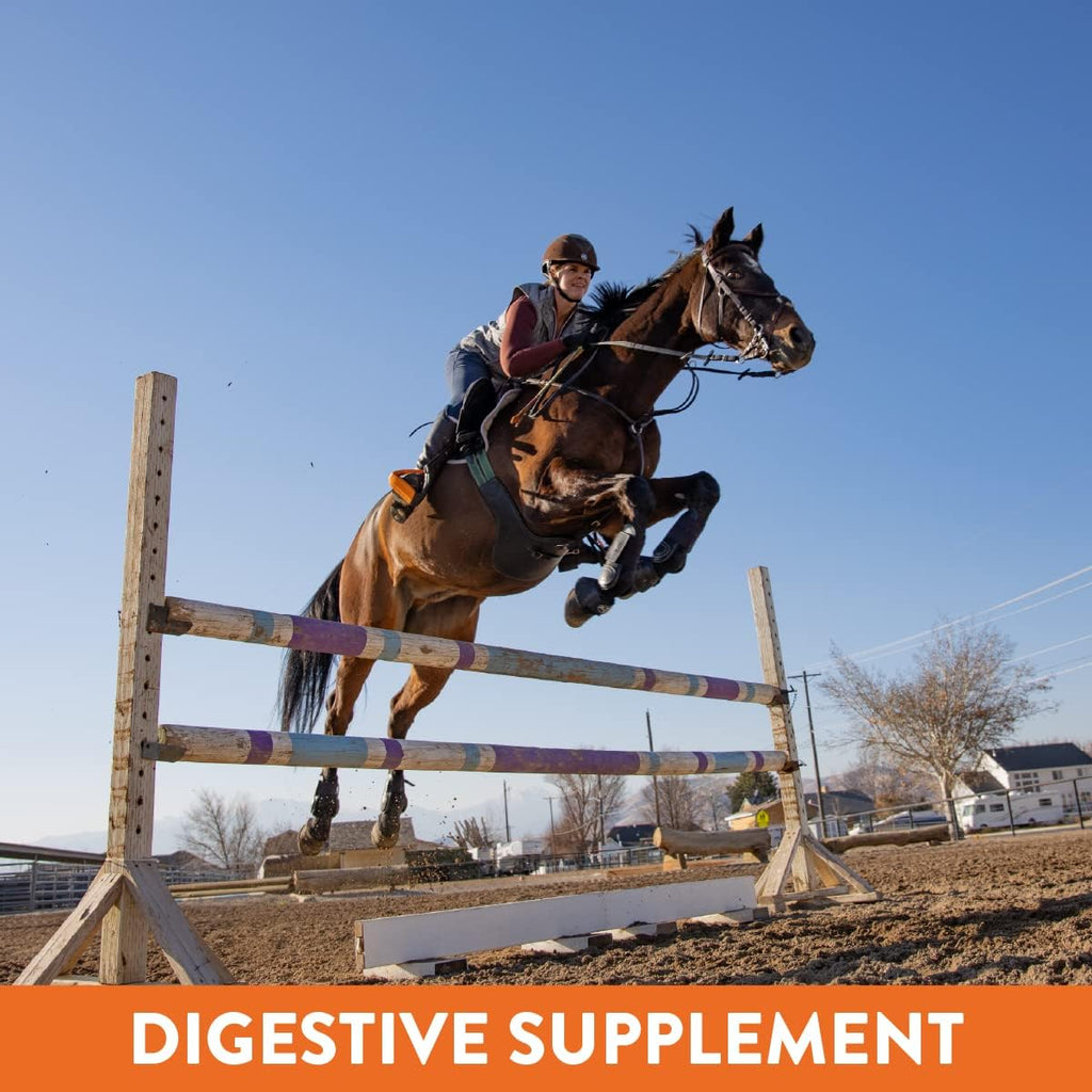 Plus- Gastric Support Supplement for Horses with Omega 3s | Relieves Ulcers, Calming Supplement, Magnesium & Other Vital Minerals | Powder, 20lb Bucket, 5-Month Supply | by Eagle Equine