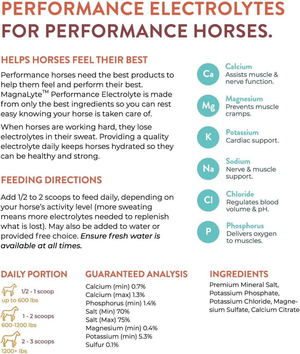 MagnaLyte Loose Salt and Electrolytes for Horses by Eagle Equine | Mineral sea Salt, Trace Minerals, Electrolytes | 20 Pound Bucket
