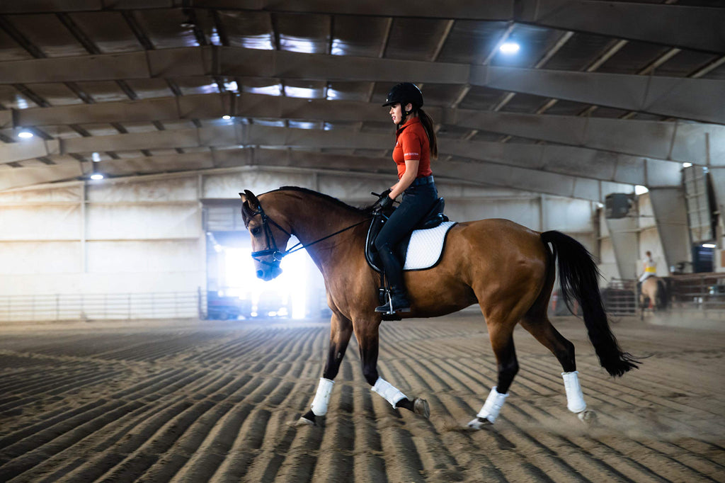 Pre-Performance Paste for Horses - All Natural Calmer, Acid Buffer, Gastric Support w/Electrolytes - 60ml Syringe