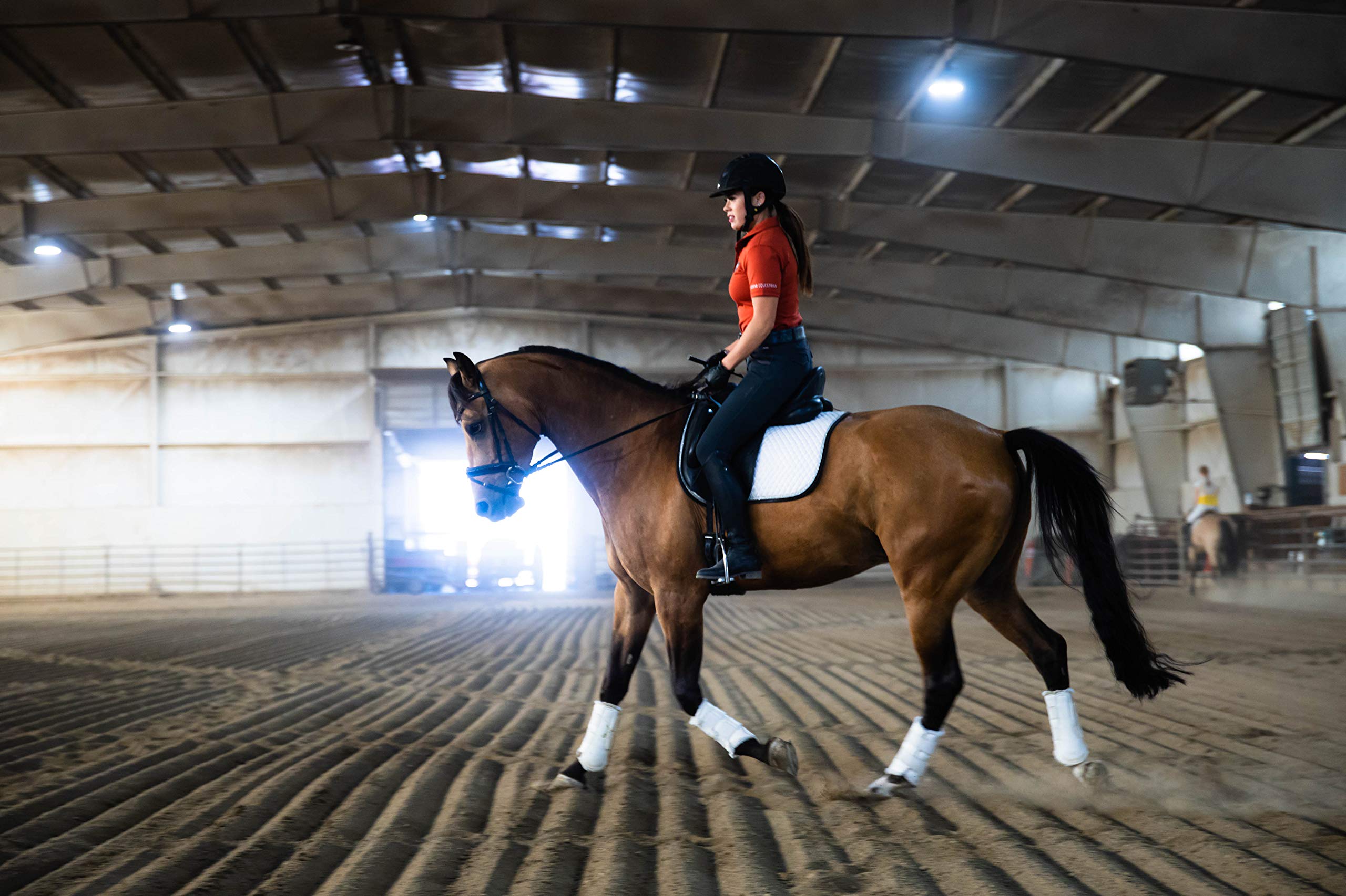 Pre-Performance Paste for Horses - All Natural Calmer, Acid Buffer, Gastric Support w/Electrolytes - 60ml Syringe