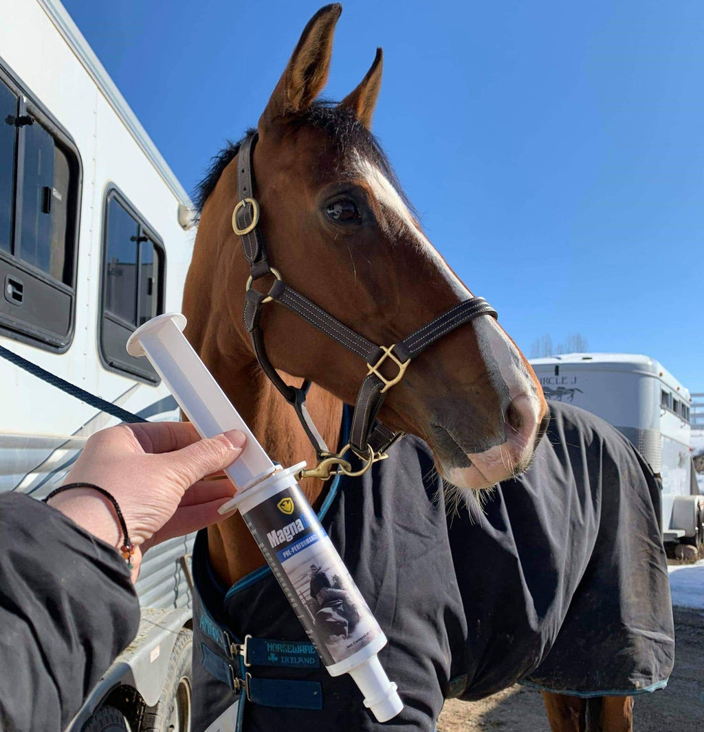 Pre-Performance Paste for Horses - All Natural Calmer, Acid Buffer, Gastric Support w/Electrolytes - 60ml Syringe