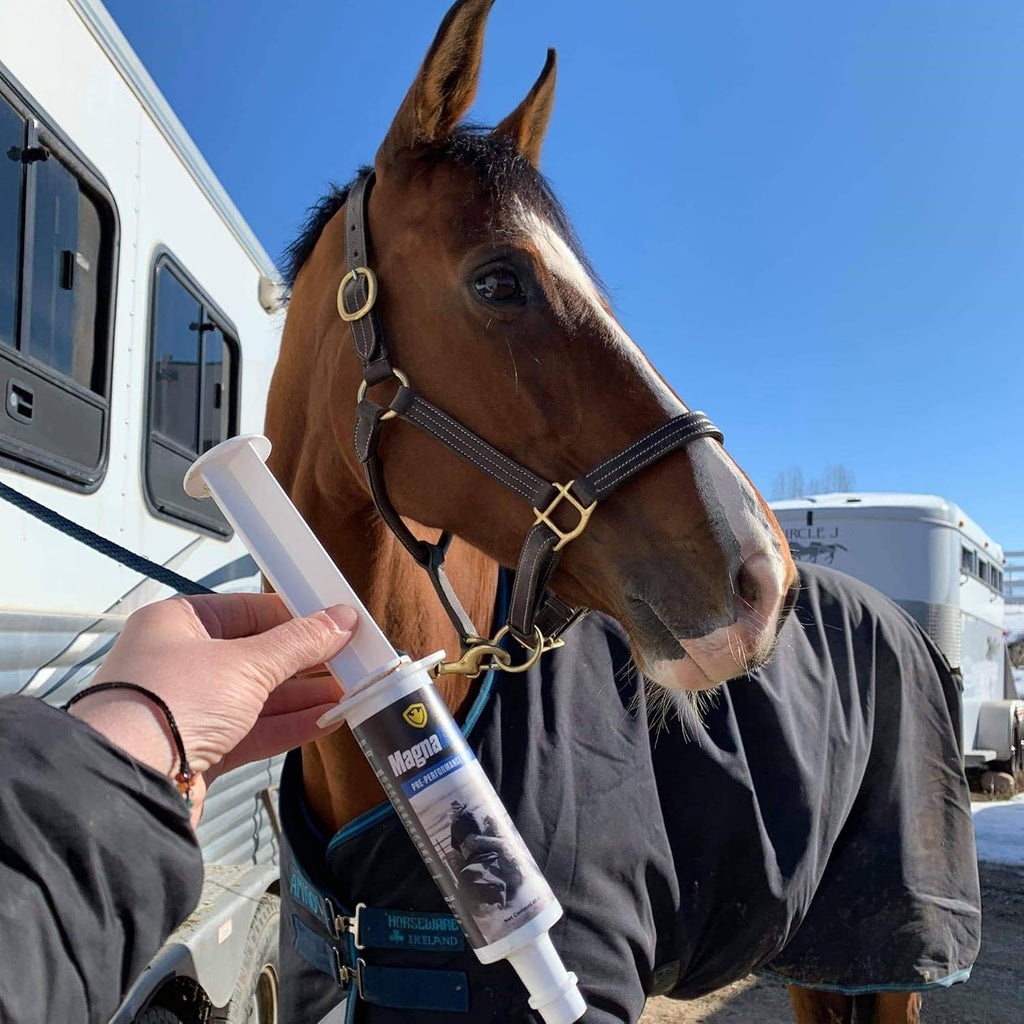 Pre-Performance Paste for Horses - All Natural Calmer, Acid Buffer, Gastric Support w/Electrolytes - 60ml Syringe