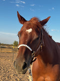 Soft Fit™ Beaded Nylon Halter