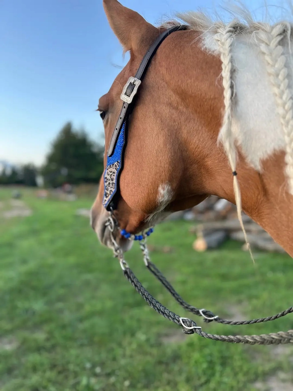 Beaded Curb Strap