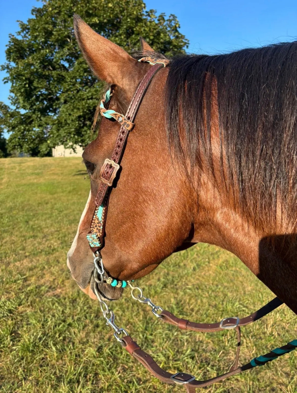 Beaded Curb Strap