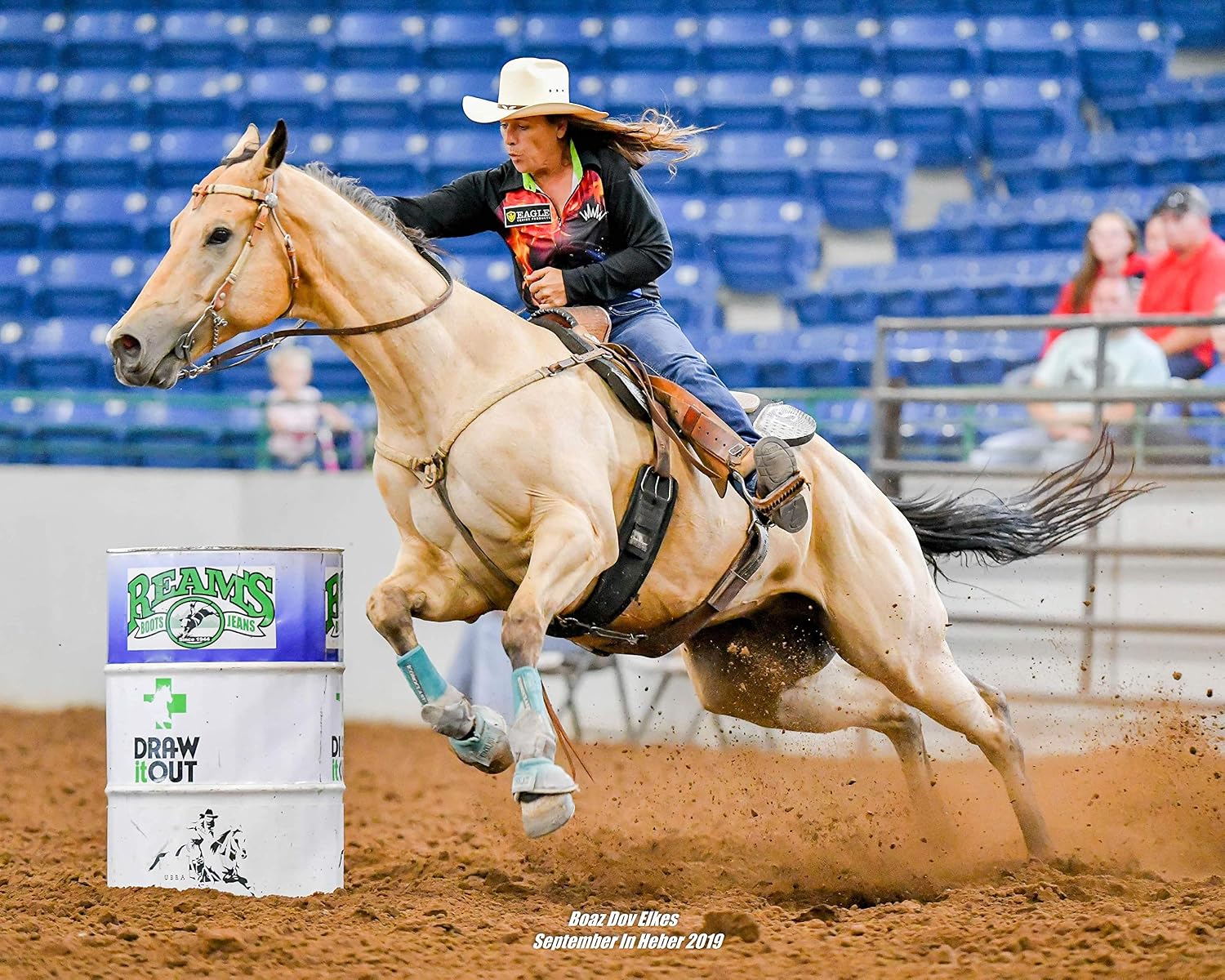 Pre-Performance Paste for Horses - All Natural Calmer, Acid Buffer, Gastric Support w/Electrolytes - 60ml Syringe