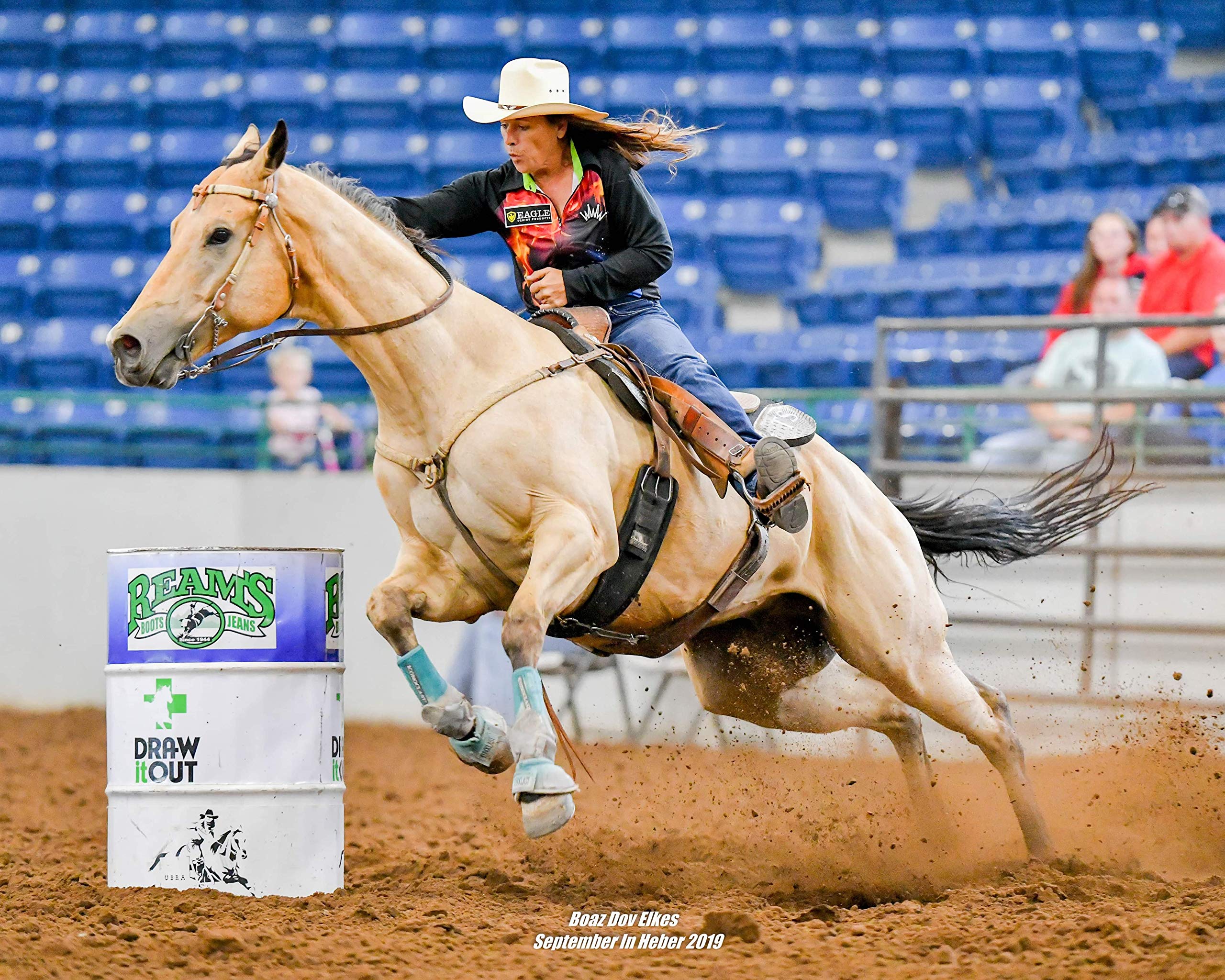 Pre-Performance Paste for Horses - All Natural Calmer, Acid Buffer, Gastric Support w/Electrolytes - 60ml Syringe