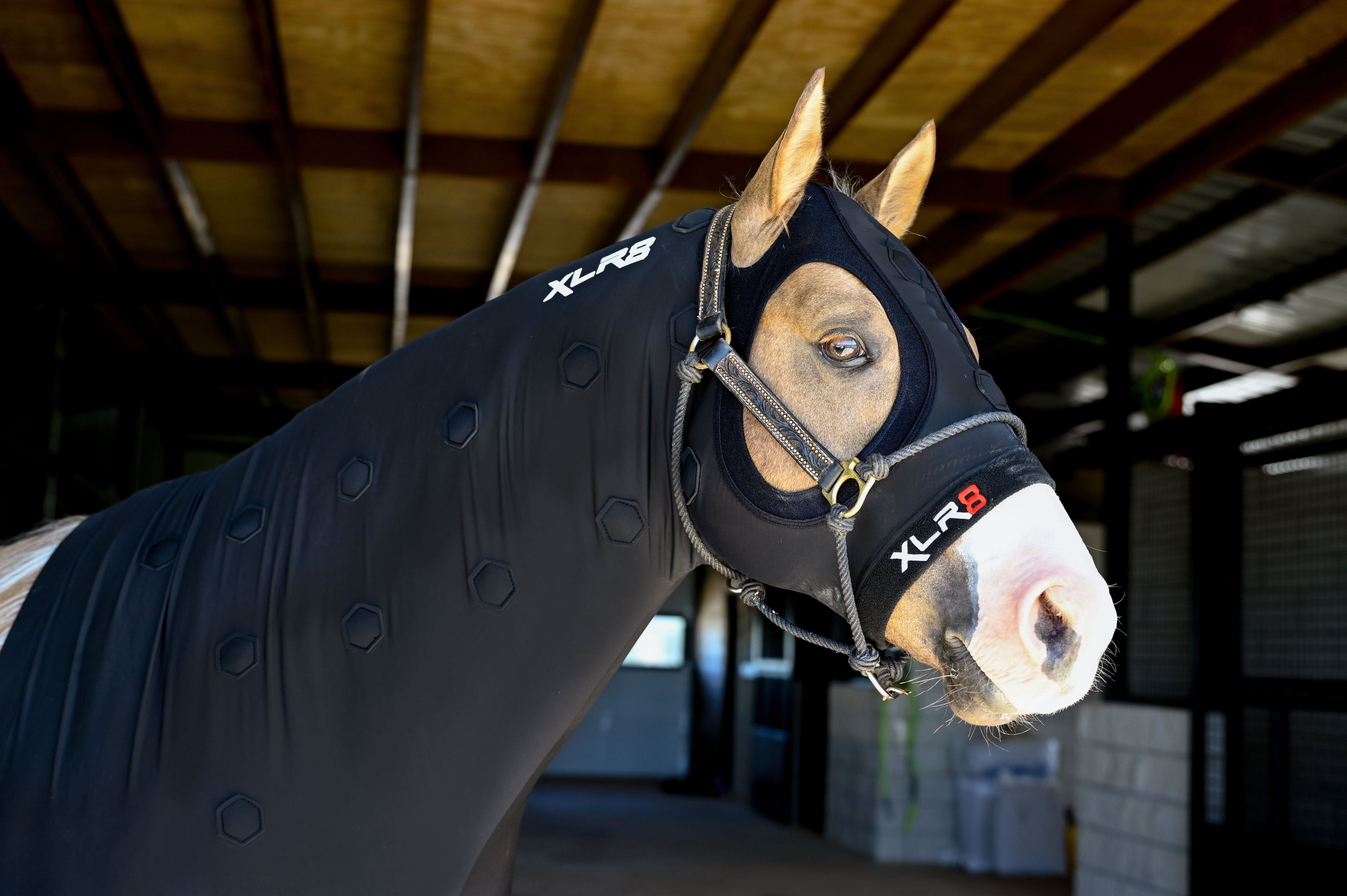 Velocity Hood