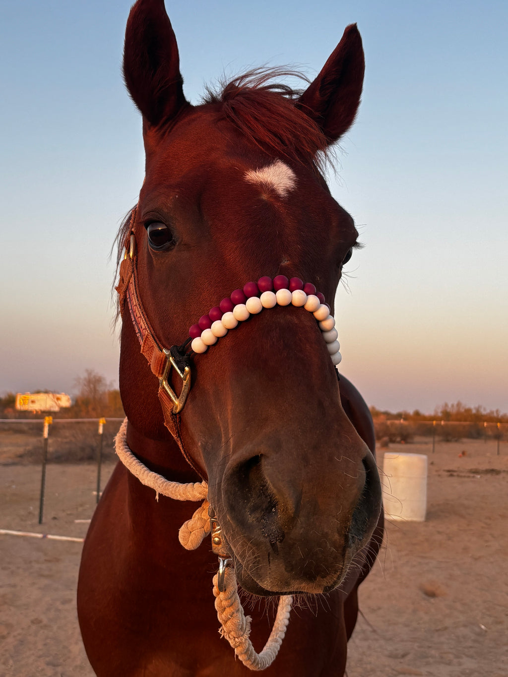 Soft Fit™ Beaded Nylon Halter