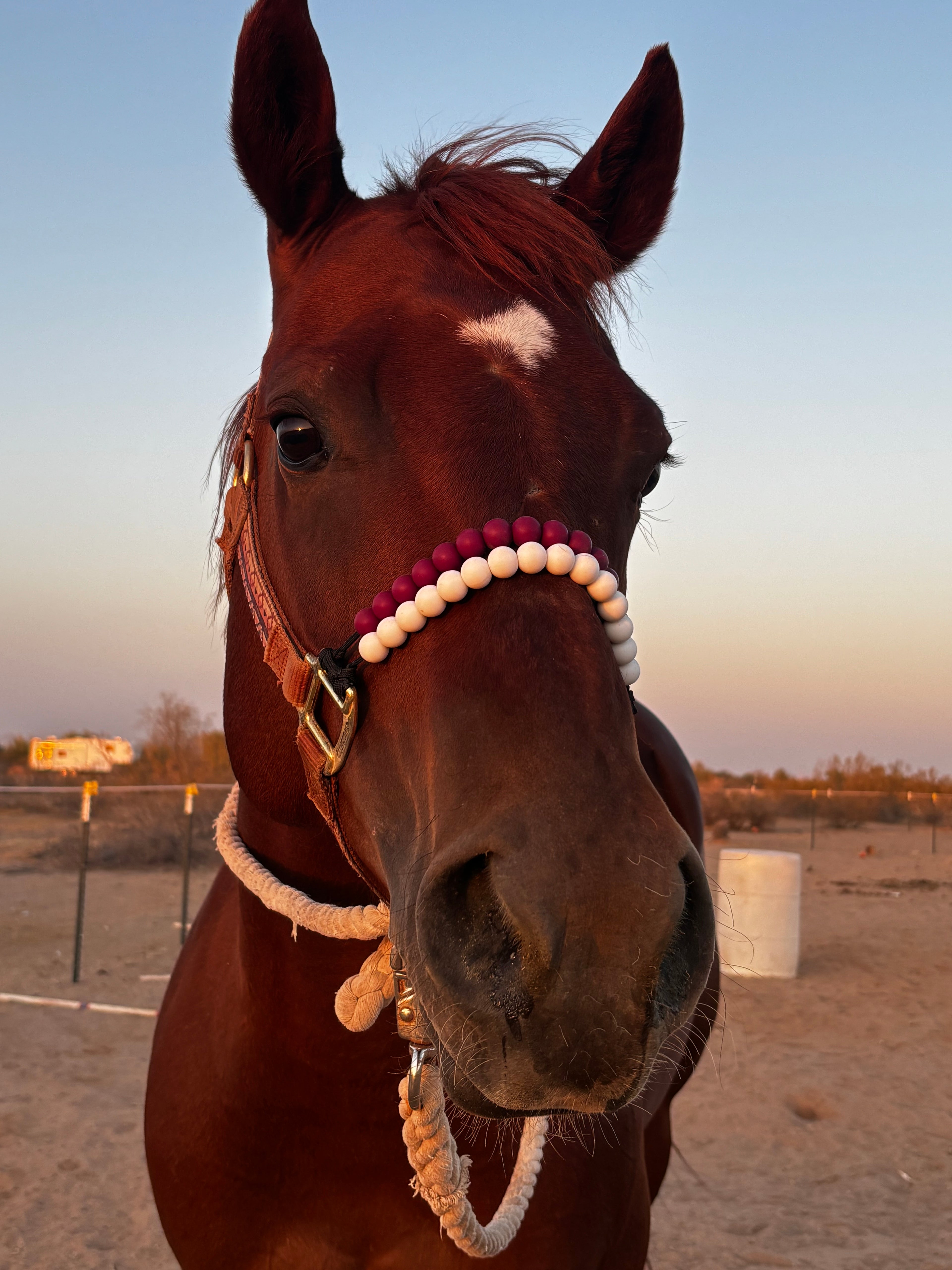Soft Fit™ Beaded Nylon Halter
