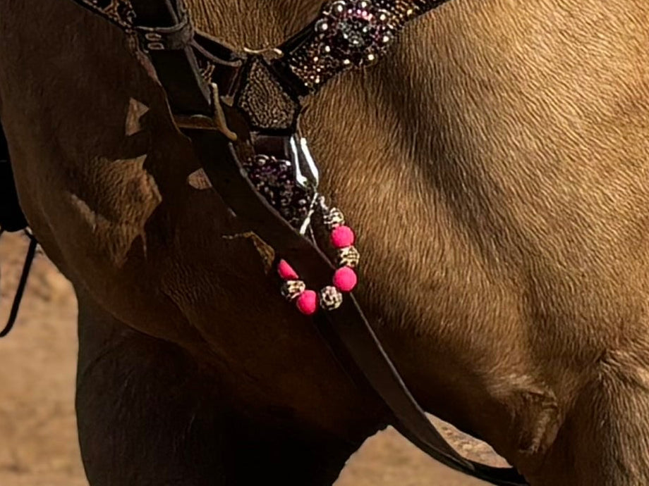 Tiedown Holder
