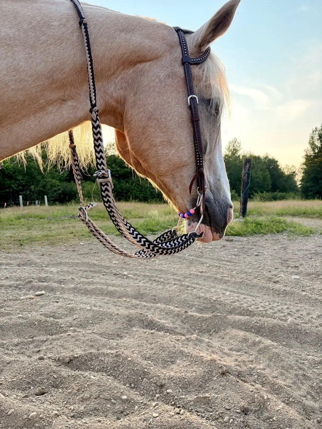 Beaded Curb Strap