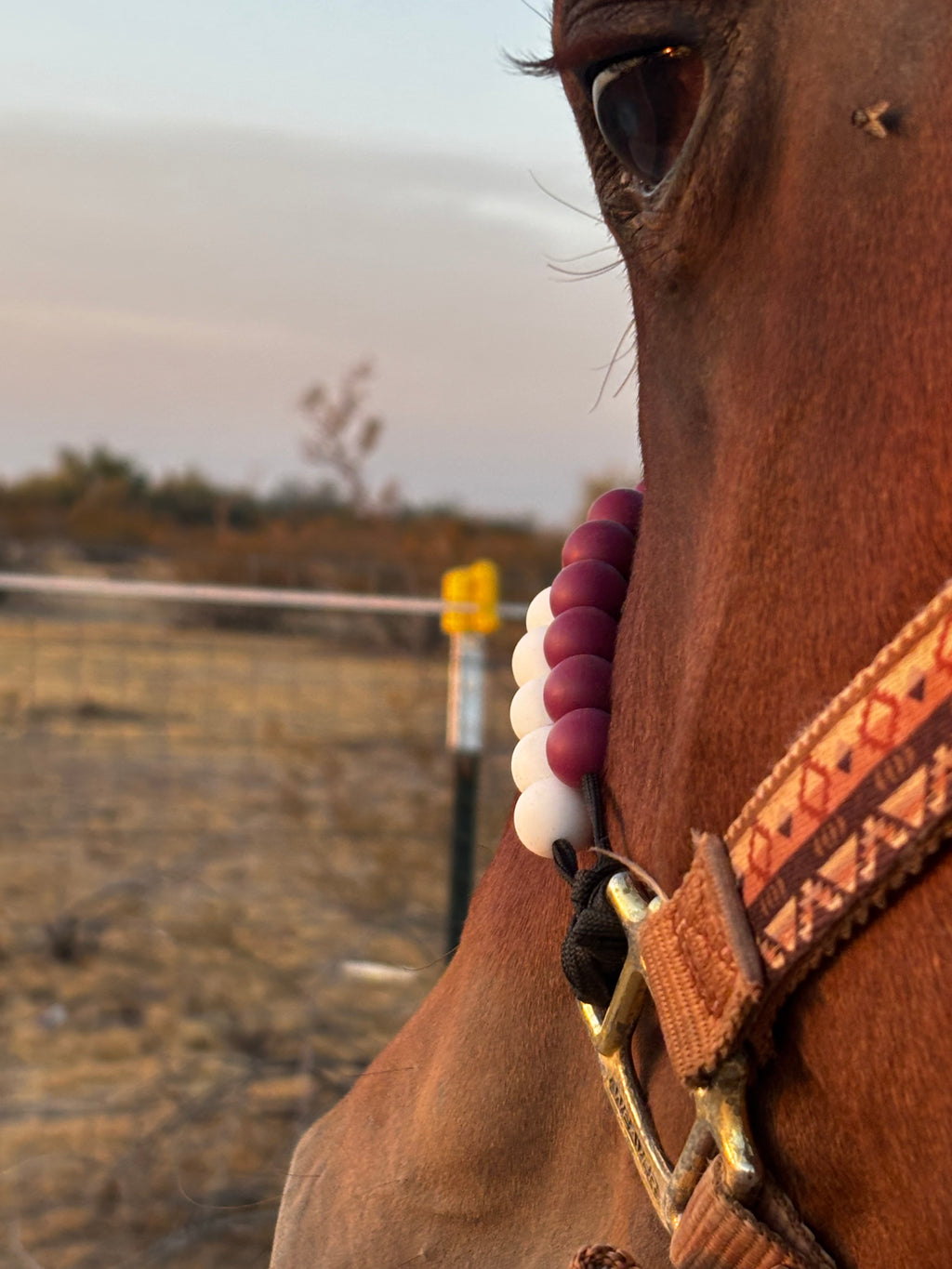 Soft Fit™ Beaded Nylon Halter