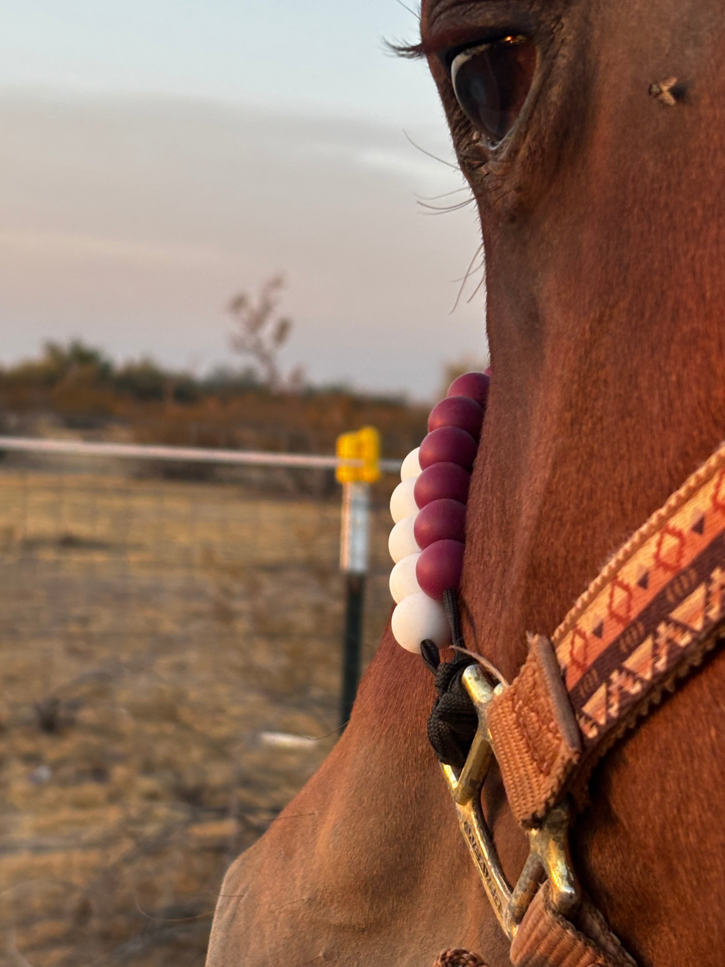 Soft Fit™ Beaded Nylon Halter