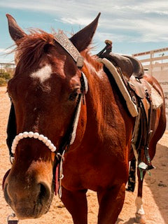 Beaded Noseband