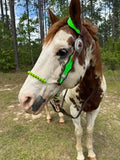 Little S Style Hackamore