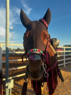 Beaded Noseband