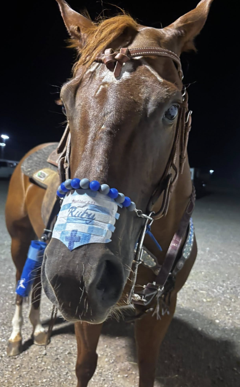 Beaded Noseband