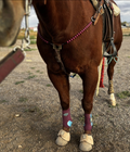 Beadline™ Breastcollar