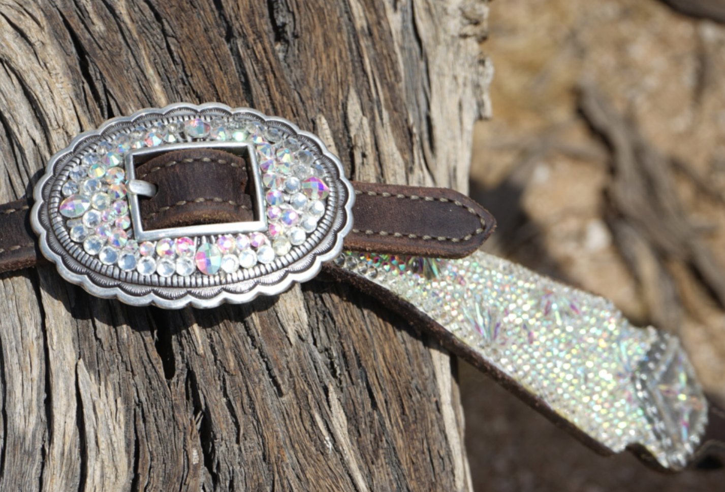The Barrel Betty Headstall