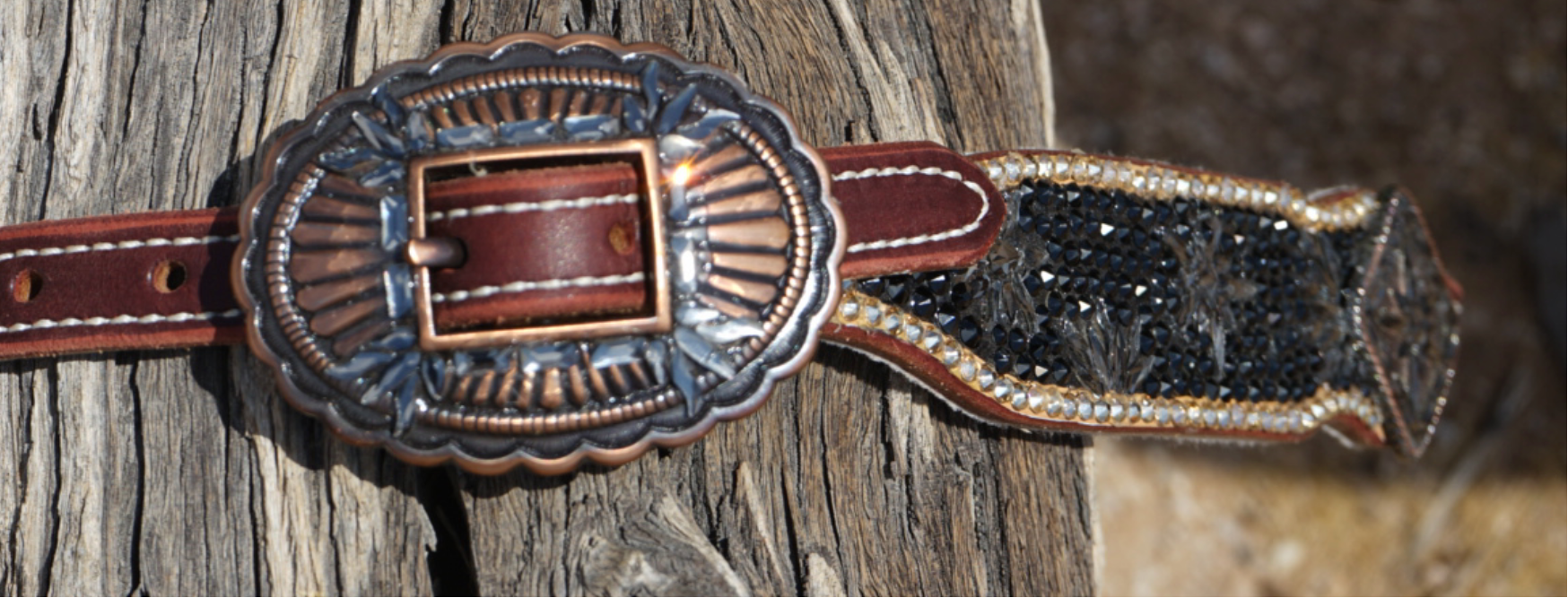 The Can Chaser Headstall