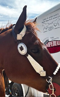Custom Headstall